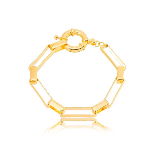 PULSEIRA ELOS RETANGULOS 1