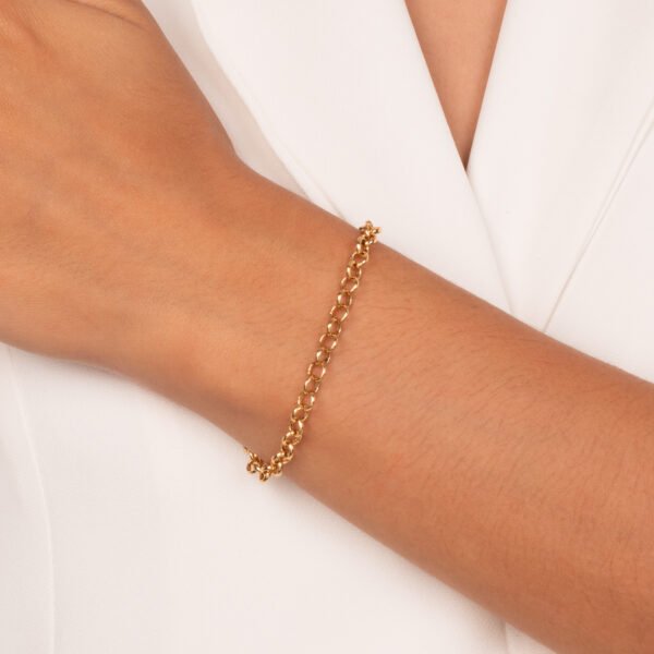 Pulseira Comprimento: 24cm com extensor Fecho: Lagosta Espessura – 0,4cm